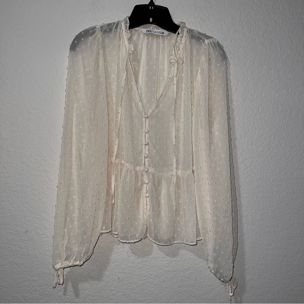 Zara Sheer Button-Down Long sleeve Blouse